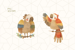 Jungle Birds Clipart PNG Product Image 2