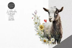 Animals clipart, Goat clipart, Daisies clipart Product Image 1