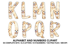 Cute Puppies Alphabet PNG, watercolor Letters &amp; Numbers Product Image 3