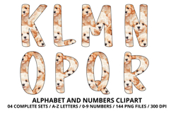 Cute Puppies Alphabet PNG, watercolor Letters &amp; Numbers Product Image 3