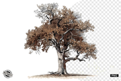 Autumn Trees Clipart Product Image 1