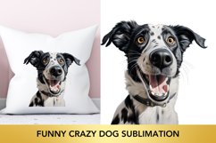Funny Crazy Dog Sublimation, Dog Clipart Product Image 1