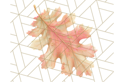 Fall Foliage Clipart PNG, Pink and Green Leaves Product Image 3