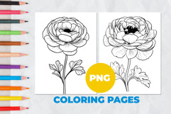 Ranunculus flower Coloring Pages | Coloring book Product Image 1