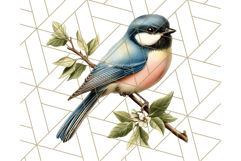 Vintage Song Bird Clipart PNG, Botanical Bird Art Clip Art Product Image 3