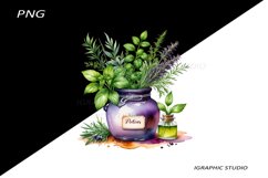 Watercolor bottle and herbs clipart Product Image 1