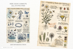 Summer Daisy Meadow Junk Journal Pages Product Image 3