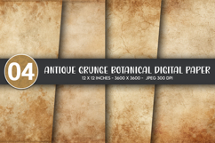 Antique Grunge Botanical Digital Paper Product Image 1