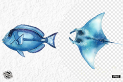 Watercolor Sea Life PNG Clipart Product Image 1