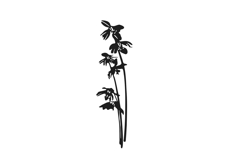 Botanical bundle - svg, png Product Image 26