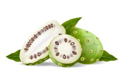Noni fruits and leaves realistic Product Image 1