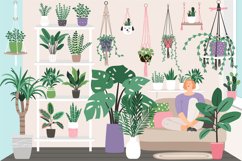 Houseplants in trendy hygge style. Collection of Home plant Product Image 1