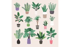 Houseplants in trendy hygge style. Collection of Home plant Product Image 1
