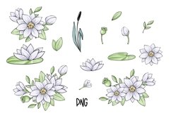Lovely swans clipart Product Image 3