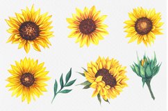 Watercolor Sunflower Bouquets PNG, Summer Bouquets PNG Product Image 6