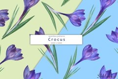 Crocus. Watercolor seamless pattern Product Image 5