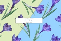 Crocus. Watercolor seamless pattern Product Image 5