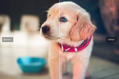 My Dog Mobile and Desktop Lightroom Presets Product Image 5