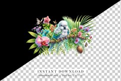 Tropical Baby Parrot Clipart | Exotic Floral PNG Product Image 2