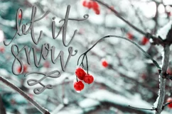40 Christmas Photo Overlays  FREE symbols font Product Image 8