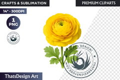 Flower Clipart PNG, Botanical Illustration Floral graphic Product Image 1