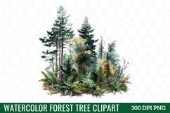 Watercolor Forest Tree Clipart Product Image 1