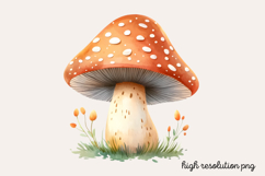 Boho Nursery Baby Clipart PNG Product Image 1