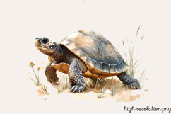 Spring Turtles Garden Clipart PNG Product Image 1