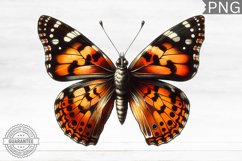 Halloween Butterfly Clipart - Halloween Sublimation PNG Product Image 1