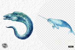 Watercolor Sea Life PNG Clipart Product Image 1