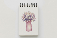 Underwater Sea Anemone Pastel Ocean Coral Plant PNG Summer Product Image 5