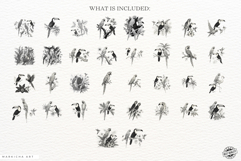 Vintage Tropical Birds Clipart Product Image 4