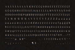 Pure Motif - An Elevated Serif Font Product Image 24