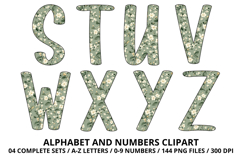 Cottage Floral Alphabet PNG Letters &amp; Numbers 300DPI Product Image 4