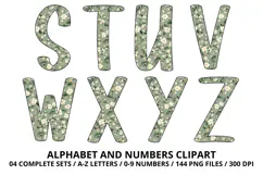 Cottage Floral Alphabet PNG Letters & Numbers 300DPI Product Image 4