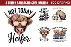 Funny Sarcastic Sublimation Quotes Bundle PNG Product Image 4