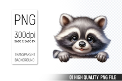Cute Raccoon Clipart PNG, Printable Animals, Wildlife Design Product Image 1