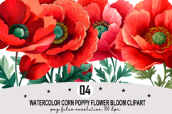 Watercolor Corn Poppy Flower Bloom Clipart Watercolor PNG Product Image 1