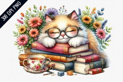 Books And Sleeping Cat Sublimation - Clipart PNG Design Product Image 1