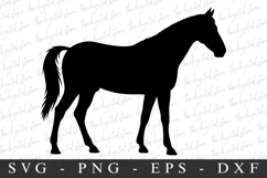 Horse SVG | SVG Cut files | Cricut Product Image 1