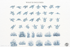 Summer Sea Turtle Clipart Product Image 4