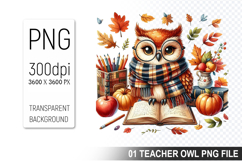 Teacher Owl Clipart PNG, Cute Owl, Digital Download File Product Image 1