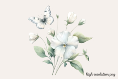 Sweet Pea Flower Watercolor Clipart PNG Product Image 1