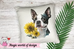 Boston Terrier Dog with Sunflower png, Sublimation design Product Image 5