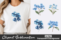 Blue Hydrangea Watercolor Clipart PNG Product Image 1