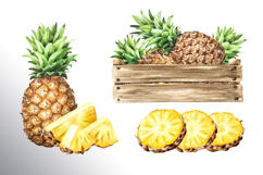 Tropical Pineapple Product Image 25
