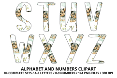 Cute Puppies Alphabet PNG, watercolor Letters &amp; Numbers Product Image 4