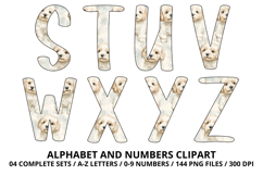 Cute Puppies Alphabet PNG, watercolor Letters &amp; Numbers Product Image 4