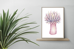 Underwater Sea Anemone Pastel Ocean Coral Plant PNG Summer Product Image 2