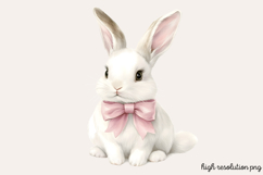 Pastel Pink Easter Watercolor Clipart PNG Product Image 1